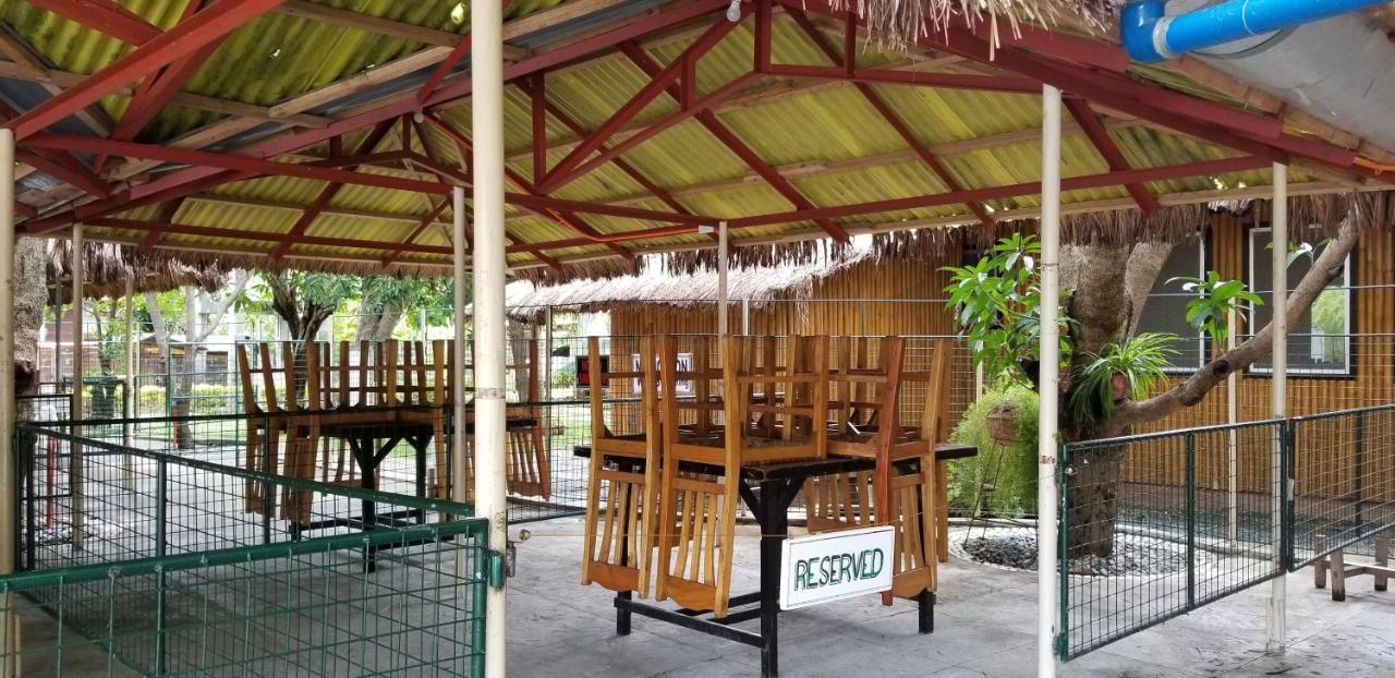 Buenavista Family Inn Tagudin Luaran gambar