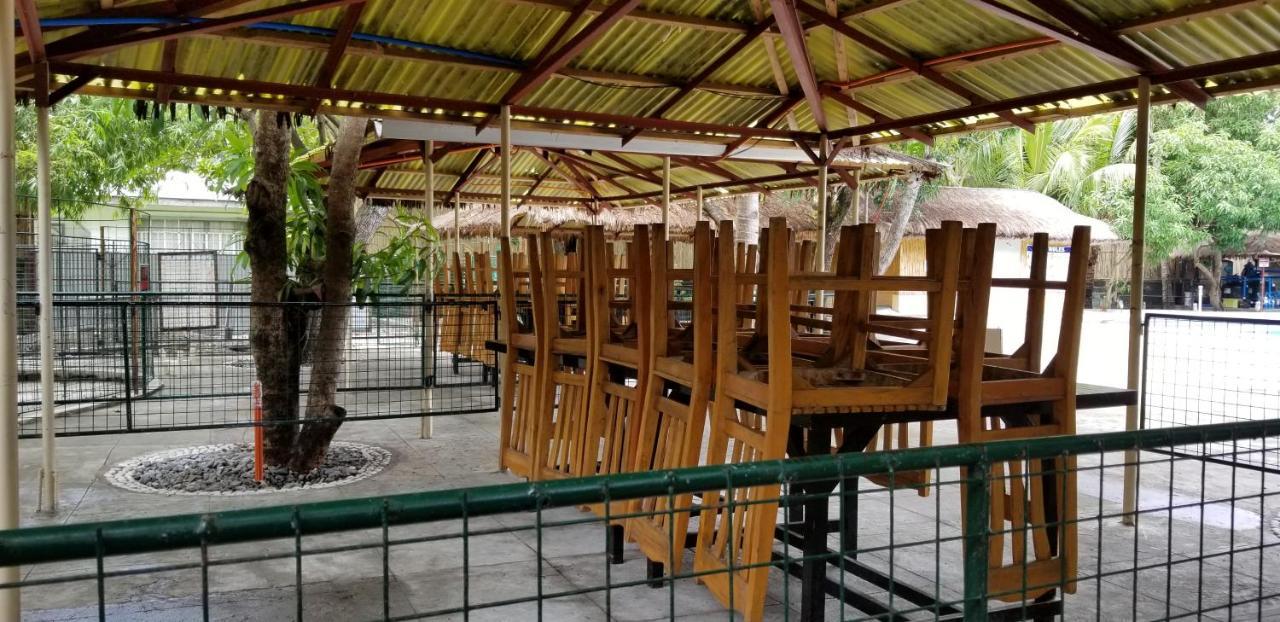 Buenavista Family Inn Tagudin Luaran gambar